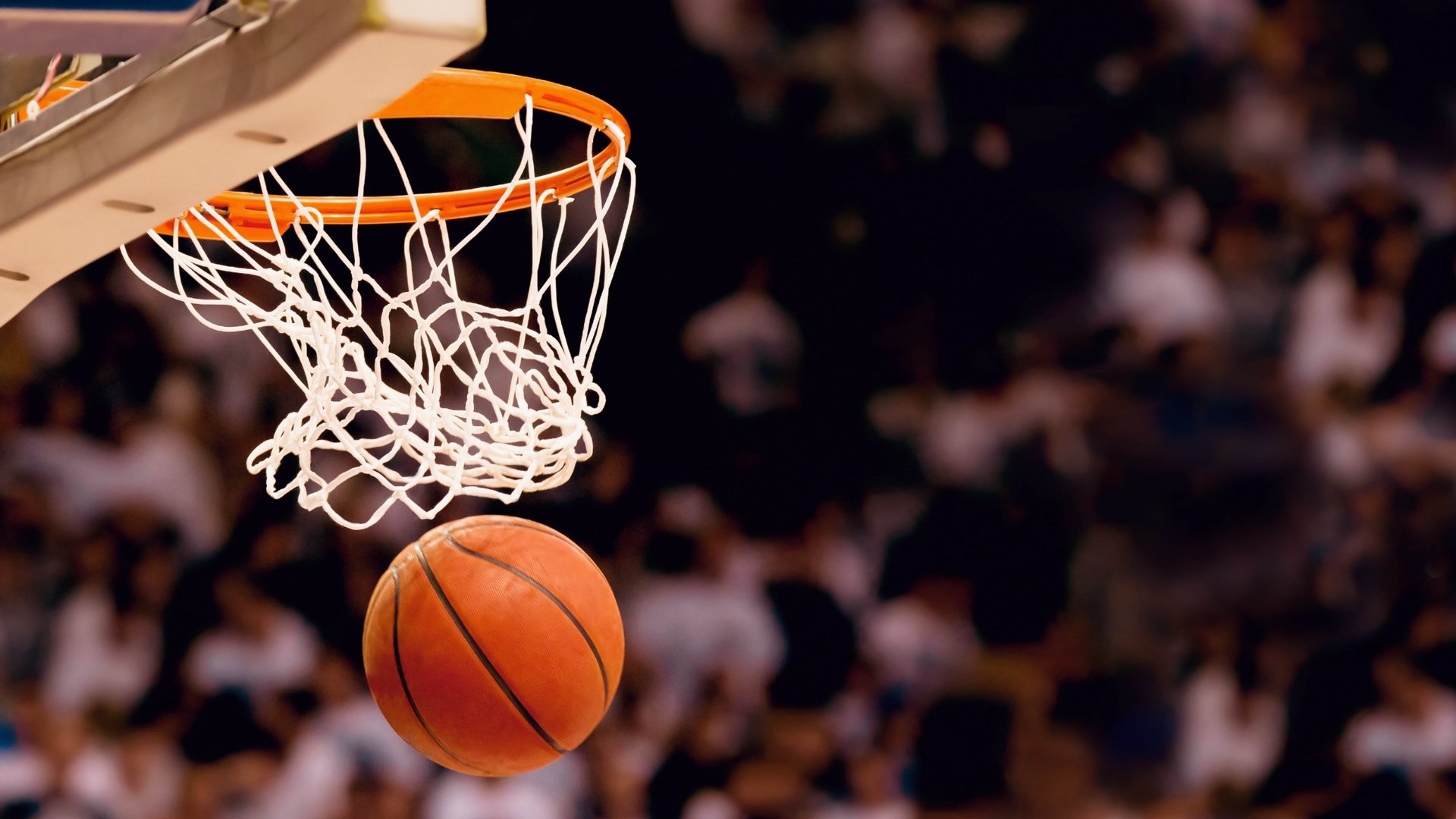 塔图姆19球领跑联盟，绿军新核的冷血进化已不可阻挡